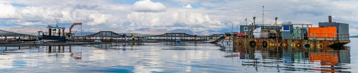 A panorama view along a Salmon Farm in the Firth of Lorn opposite Oban, Scotland on a summers day
