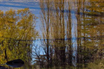 REFLEJO EN EL TRAPICHE