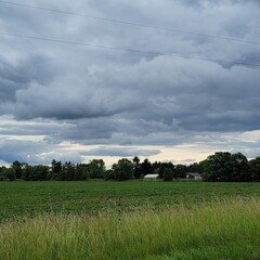 Fototapeta premium field and sky