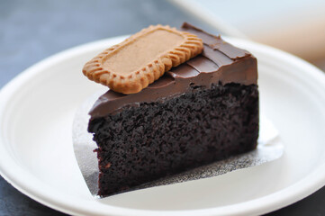chocolate cake or dark chocolate cake with biscuit
