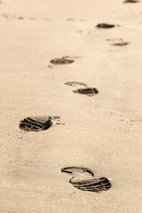 Closeup of footprints in the sand on the beach