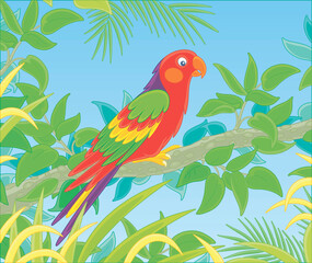 Exotic colorful parrot with a long-tail and brightly colored plumage, perched on a green tree branch in a tropical jungle, vector cartoon illustration