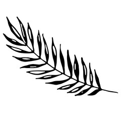 Palm branch. Vector, black, isolated