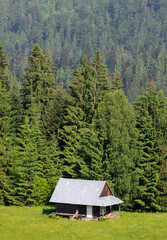 Fototapeta na wymiar Landscape with an abandoned cottage near a pine forest in the mountains