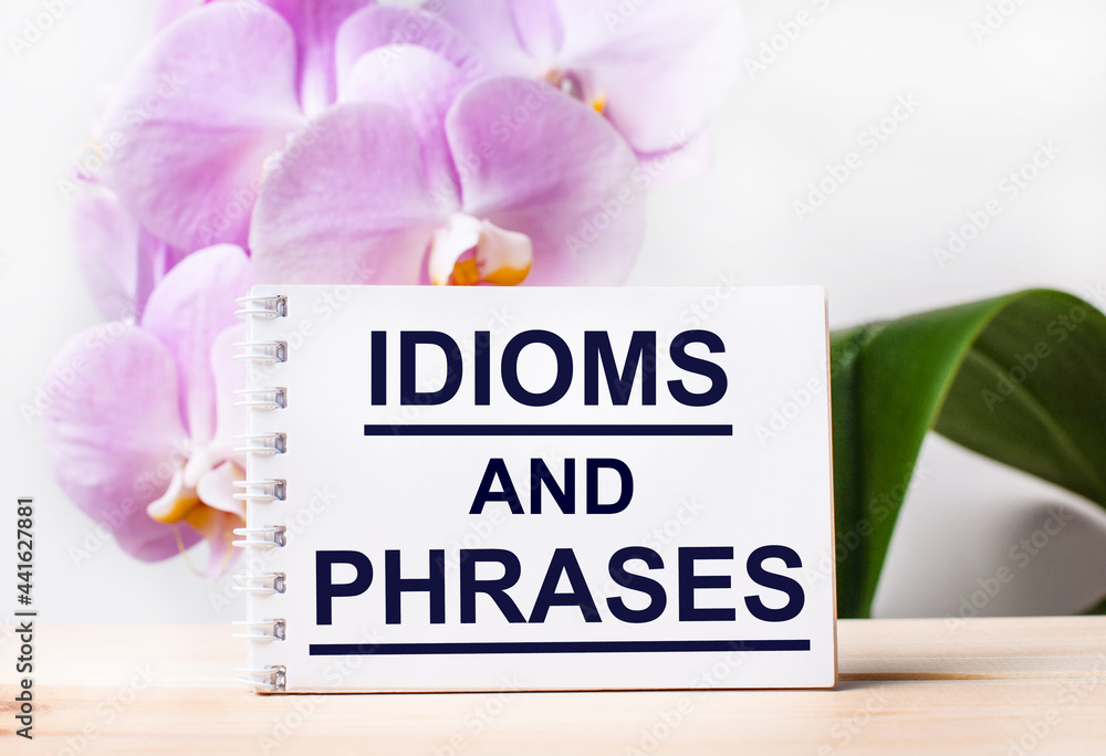 Poster white blank notebook with the text idioms and phrases on the table against the background of a light