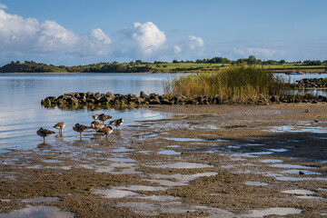 The Strelasund coast on Devin Island near Stralsund, Mecklenburg-Western Pomerania, Germany