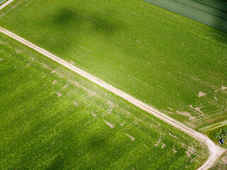 Aerial view of an agricultural field with grain planted in spring in Bavaria