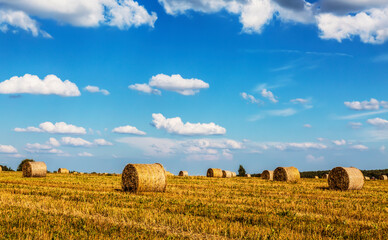 Straw rolls on farmer field in the summer