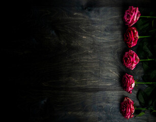 Fresh roses lie on a black wooden background. Flower rose close up. Postcard.