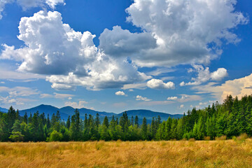 Lovely scenery in summer. Grassy meadow in mountains and blue sky width white clouds, Low Beskid (Beskid Niski), Poland - obrazy, fototapety, plakaty
