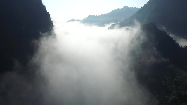 fog in the mountains