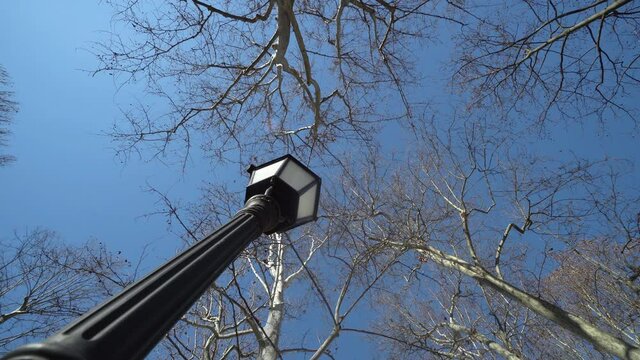 Bare tree branches and a light post in park Zrinjevac in Zagreb, Croatia