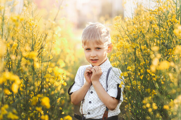 little cute boy in an oilseed rape field. Rural landscape