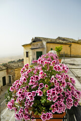 A brightly colored flower pot in a narrow street of Candela, an old town in the Puglia region of Italy.