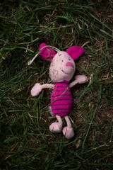A piggy © Hanna