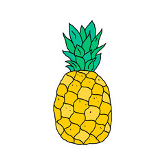 Pineapple in doodle style