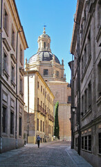 Naklejka premium Walking by a street of Salamanca towards La Clerecía.