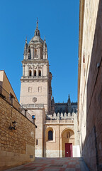 Fototapeta na wymiar Tower of the Cathedral of Salamanca.