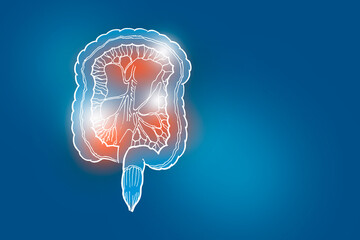 Handrawn illustration of human Intestine on dark blue background.
Medical, science set with main human organs with empty copy space for text or infographic.