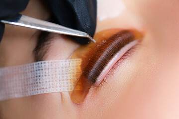 curl eyelashes glued to the roller and applied to it with a means for laminating eyelashes