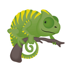 Cute chameleon cartoon