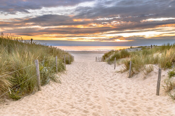 Fototapeta na wymiar Landscape view of sand dune on the North sea coast