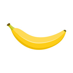Unopened fresh banana. Isolated vector illustration on white background. Cartoon flat style.