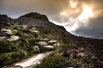 Mither Tap of Bennachie. Aberdeenshire, Scotland, UK
