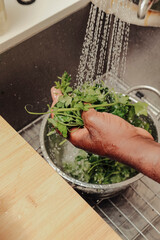 Fresh herbs being washed by chef in kitchen sink