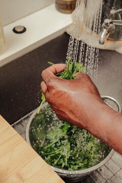 Herbs being washed in a sink