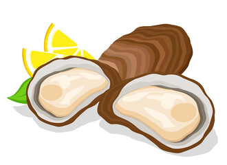 Oysters in shells open and closed with lemon. Seafood