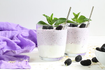 Curd dessert with chia and mulberry on white plate