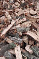 Pile of firewood chopped from a California oak tree