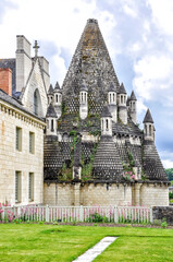 Located where the three regions of Poitou, Anjou and Touraine meet, the Royal Abbey of Fontevraud...