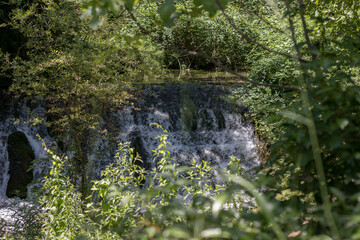 Cascada en un bosque