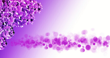Fototapeta na wymiar Background of vibrant pink lilac flowers