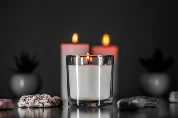 Burning aromatic candle and plants on table.