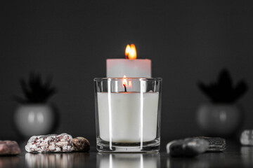 Burning aromatic candle and plants on table.