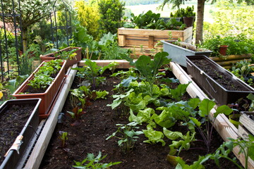 Gemüsegarten im Sommer