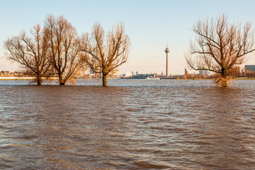 Hochwasser in Düsseldorf, Rheinturm zwischen überfluteten Bäumen