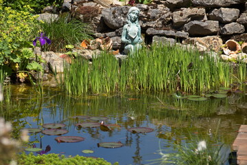 Gemüsegarten im Sommer