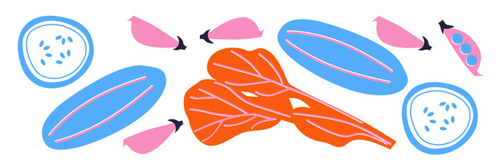 Vector vegetables flat illustration. Autumn harvest cartoon elements. Cartoon flat vegetables set. Summer veggies clip art.