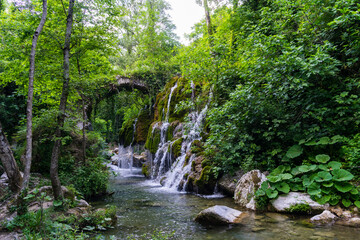 Obraz premium waterfall in the forest