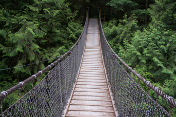 Suspension bridge in Lynn Canyon Park, British Columbia. North Vancouver, Canada.