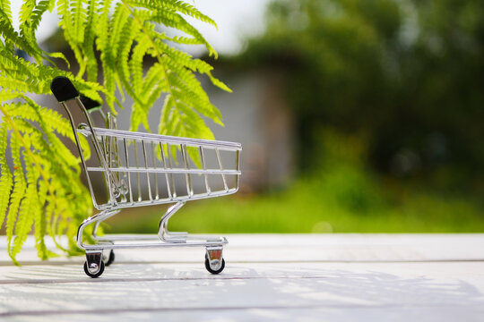Shopping cart standing in front of green background.  Tropical fern leaves. Copy space. Summer sale