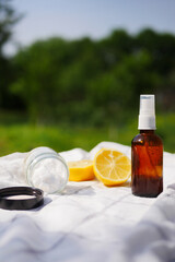 Zero waste cleaning products for house. Baking soda, lemon and vinegar detergent. Vertical orientation  