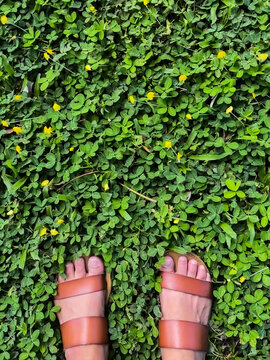 Looking down: feet on green grass on Spring