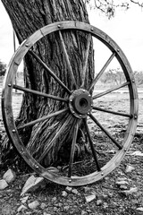Fototapeta na wymiar Wagon Wheel