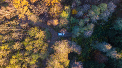 Samochód zagubiony w lesie