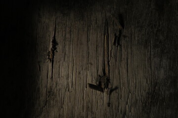 ambientación de madera astillada y aterradora